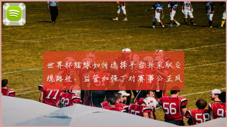 世界杯赌球如何选择平台并采取合规路径，监管加强下对赛事公正风险评估