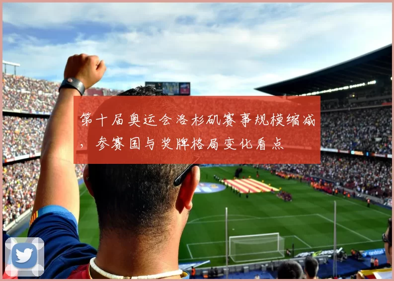 第十届奥运会洛杉矶赛事规模缩减，参赛国与奖牌格局变化看点