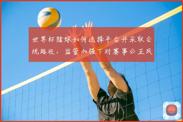 世界杯赌球如何选择平台并采取合规路径，监管加强下对赛事公正风险评估